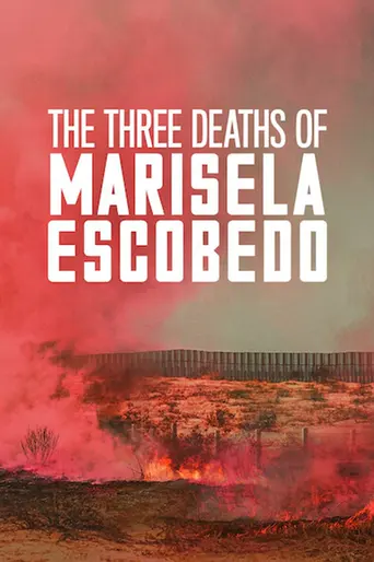 The Three Deaths of Marisela Escobedo (2020)
