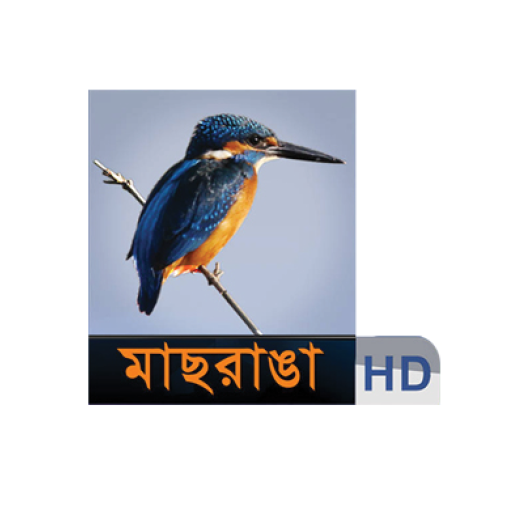Maasranga TV
