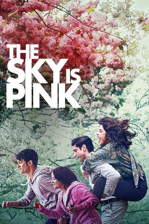 The Sky Is Pink artwork